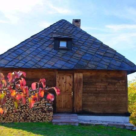 Cabin Menka Sirogojno Exterior photo
